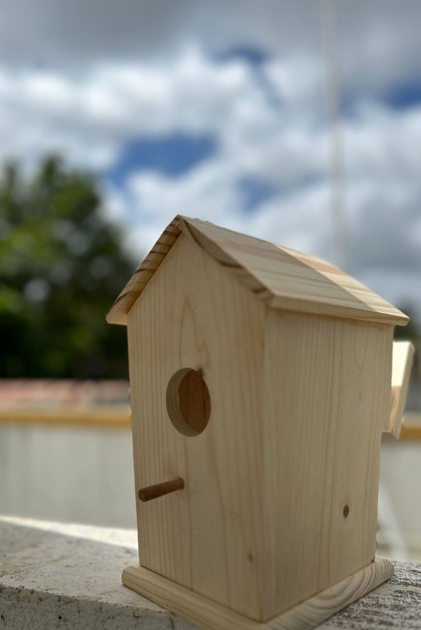DIY Wooden Bird House